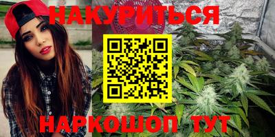 крисы Краснодар