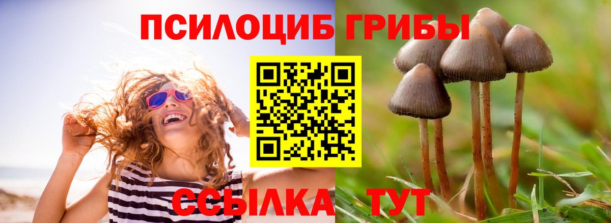Псилоцибиновые грибы GOLDEN TEACHER  Вход с VPN  Псилоцибиновые грибы MAGIC MUSHROOMS  Чусовой 